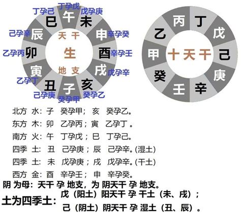 12支 五行|十二地支藏干 十二地支五行属性对照表